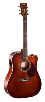 MR500E Brown Dreadnought