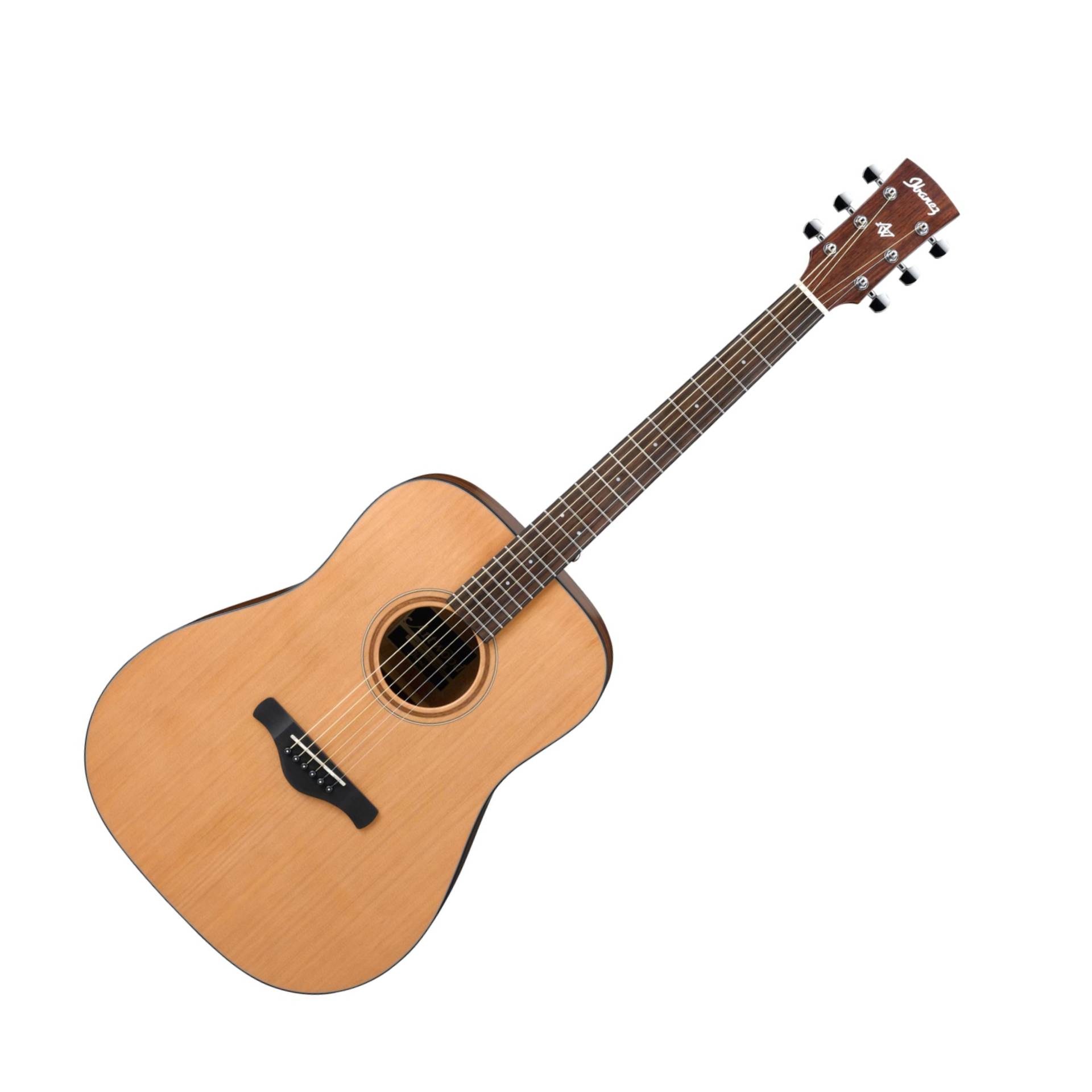 AW65-LG Artwood Dreadnought