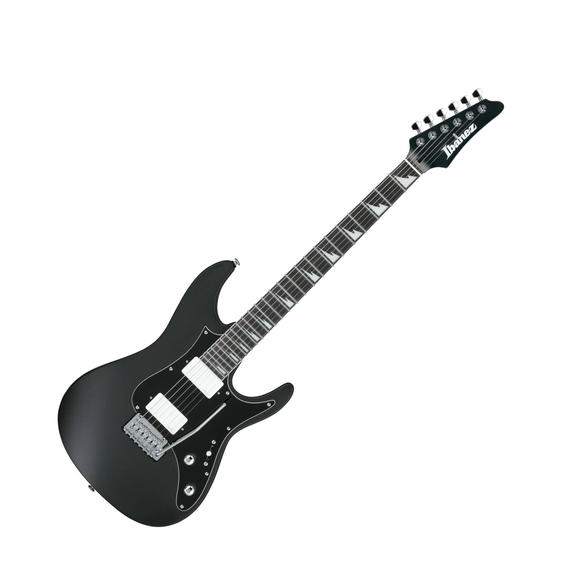 BER10 Bernth Signature Gitarre