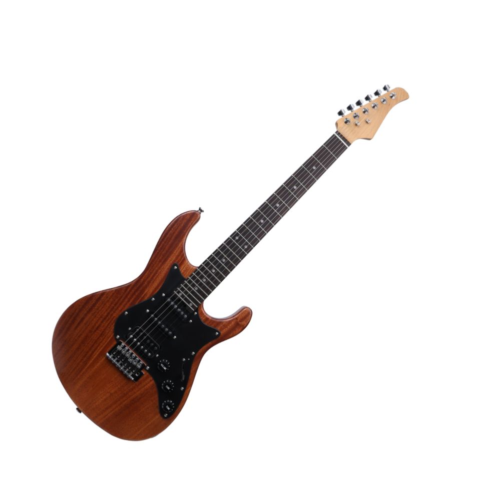 ES60-PMH E-Gitarre