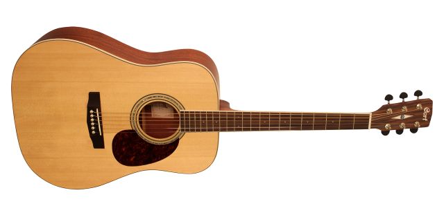 Earth 100NS Dreadnought