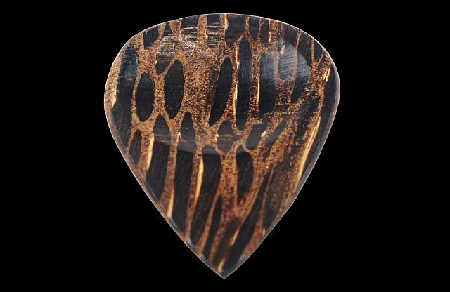Holz- Plektrum Black Palm Std.