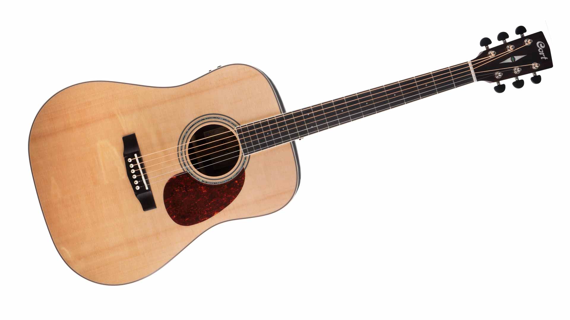 Earth 100FER Dreadnought + PU