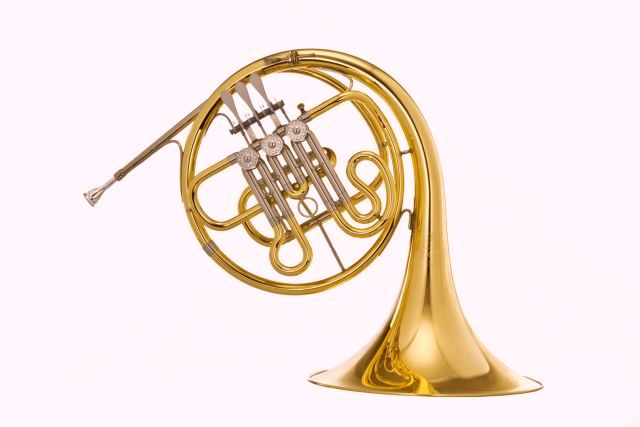 702G-L B-Waldhorn Goldmessing