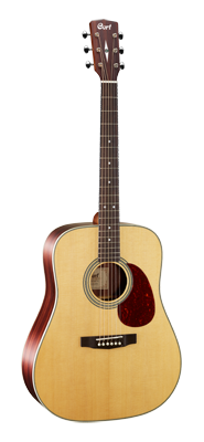 Earth 80 N Dreadnought