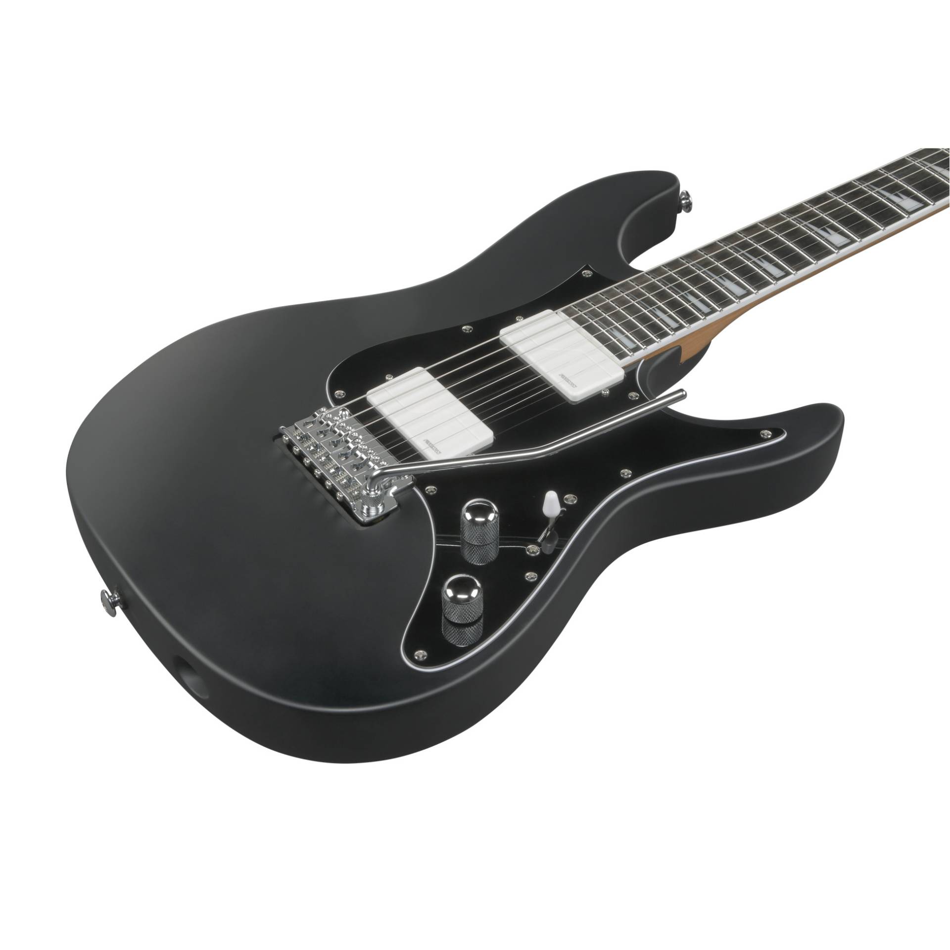 BER10 Bernth Signature Gitarre