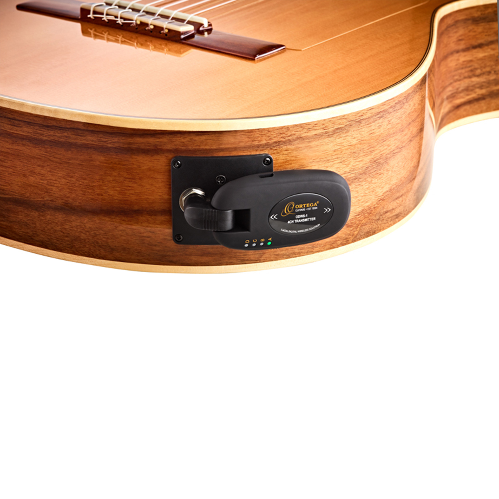 ODWS-1 Funksystem Instrumental