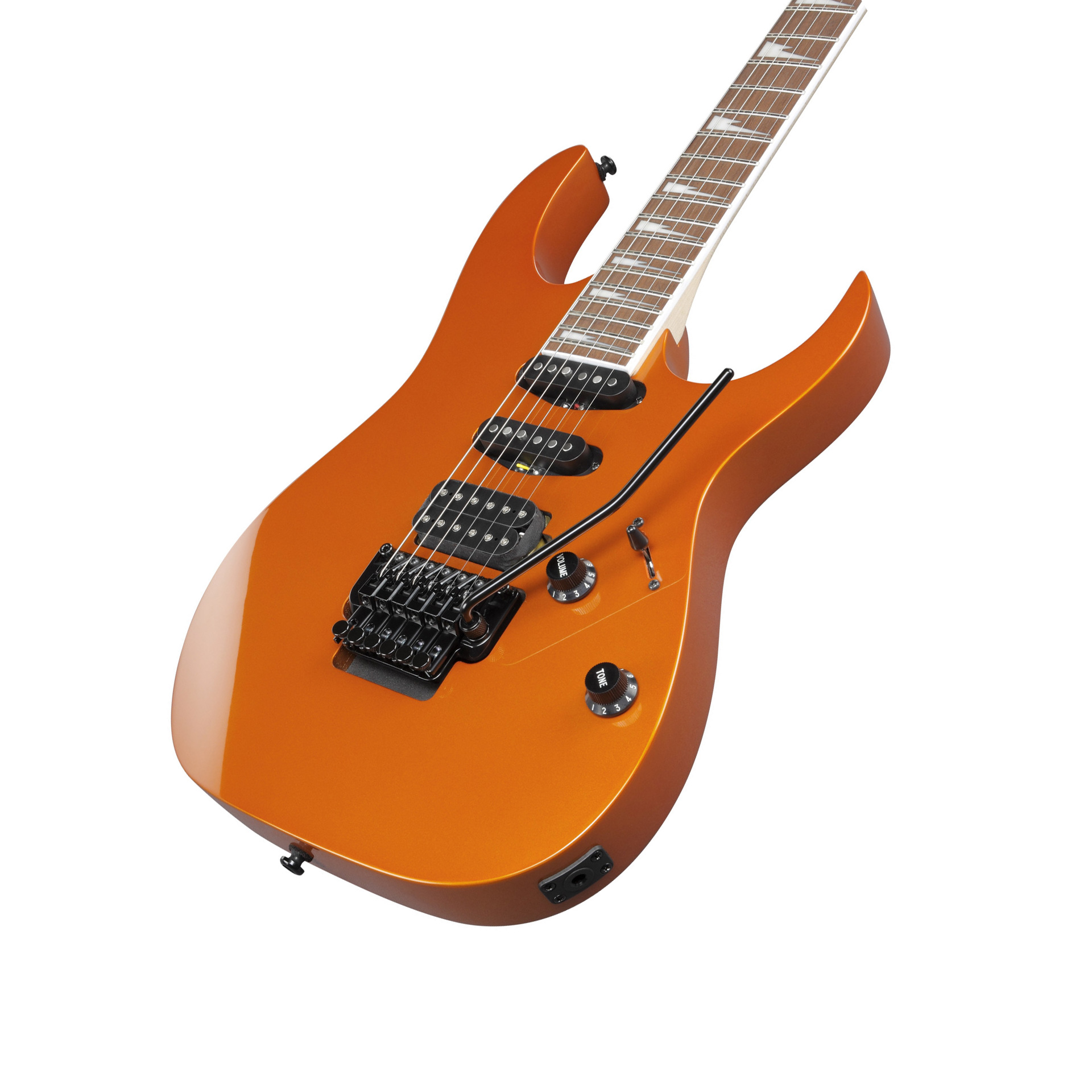 RG460DX-ROM E-Gitarre