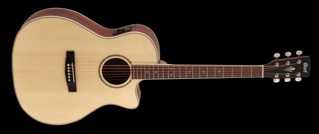 GA-MEDX Westerngitarre Natural