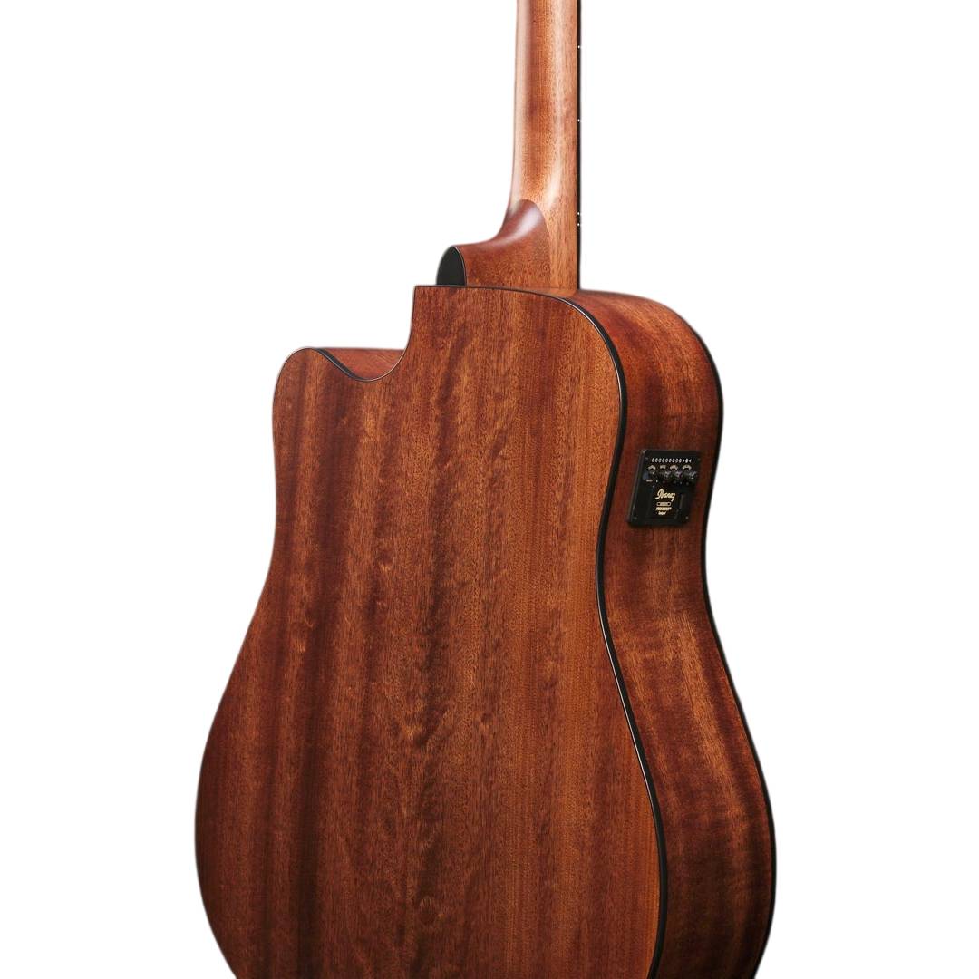 AW65ECE-LG Dreadnought