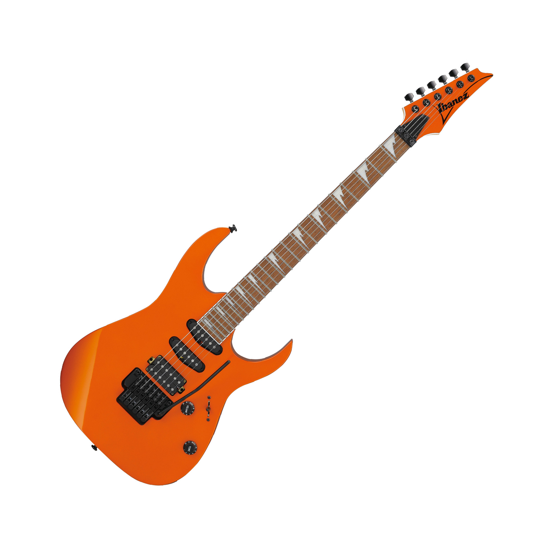 RG460DX-ROM E-Gitarre