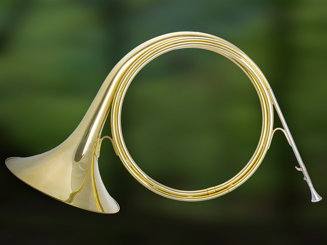 ES3530 Es Parforcehorn