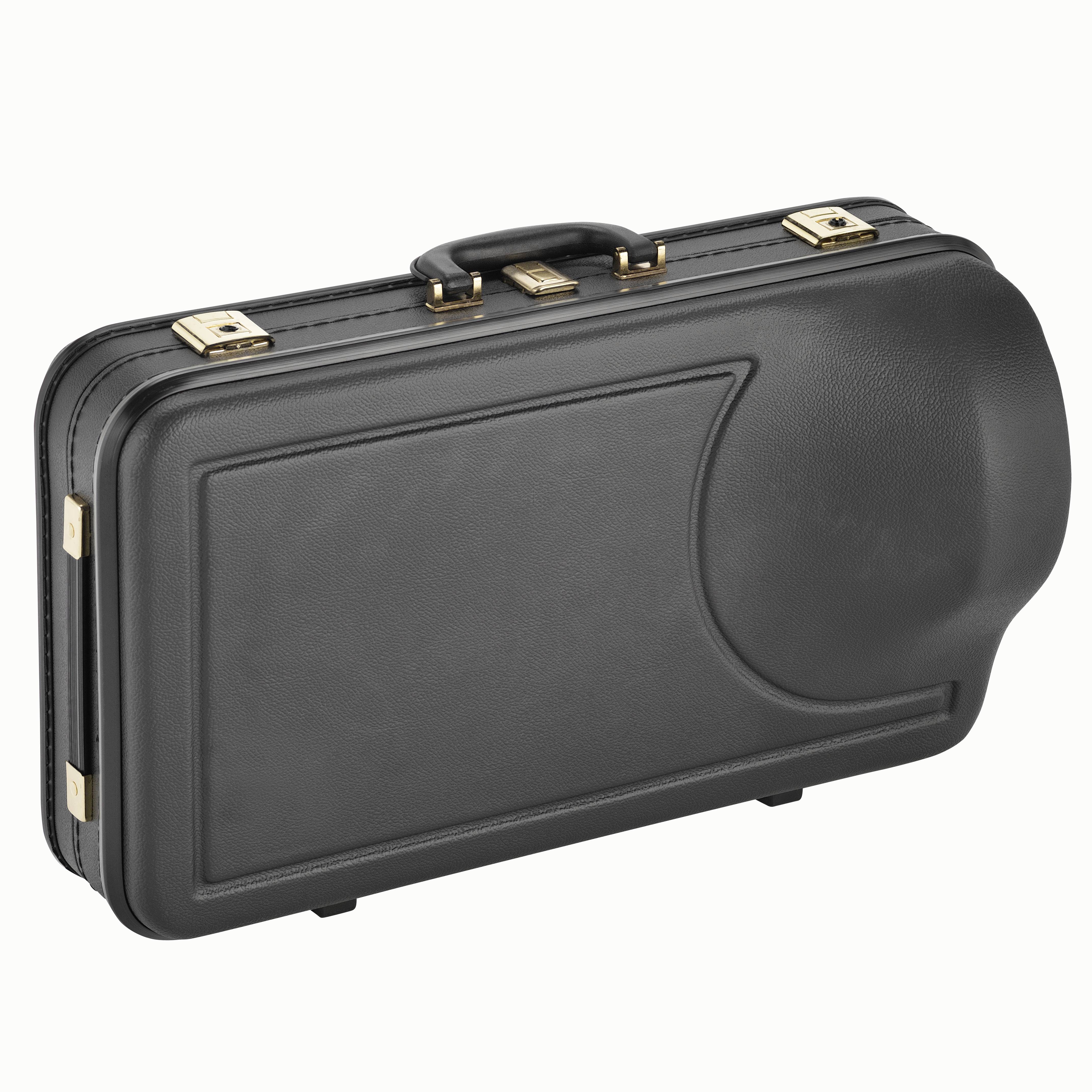 Es-Althorn Modell Mentor