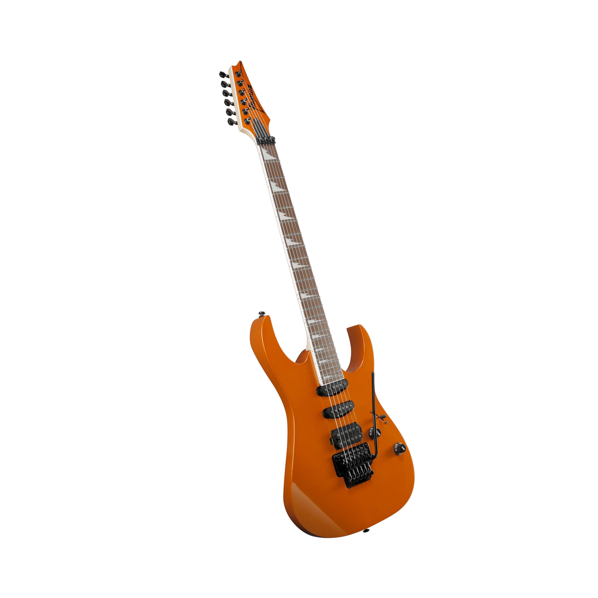 RG460DX-ROM E-Gitarre