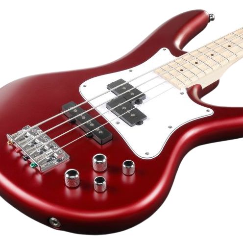 SRMD200-CAM E-Bass