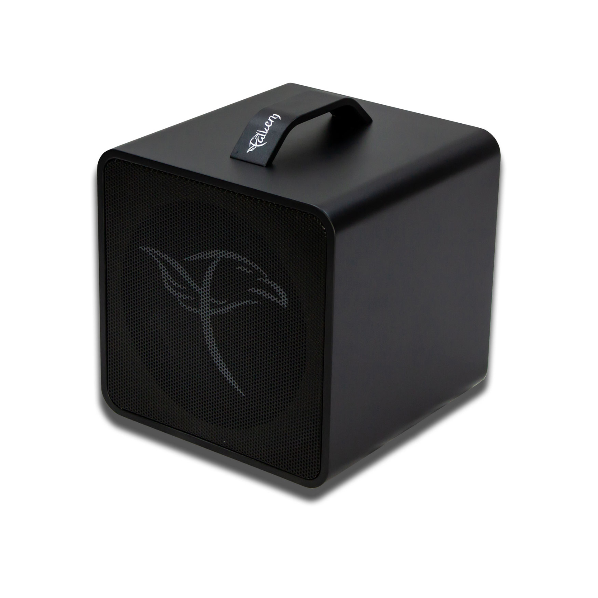 Traveller Akustikgitarren-Amp