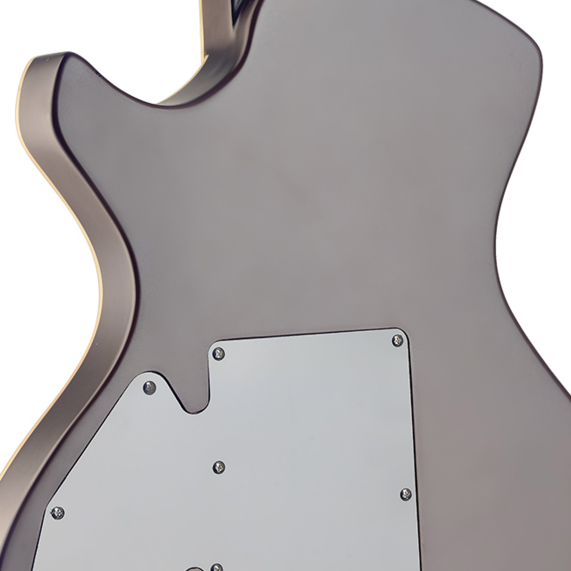 Silveray NASHDLX FSB E-Git.