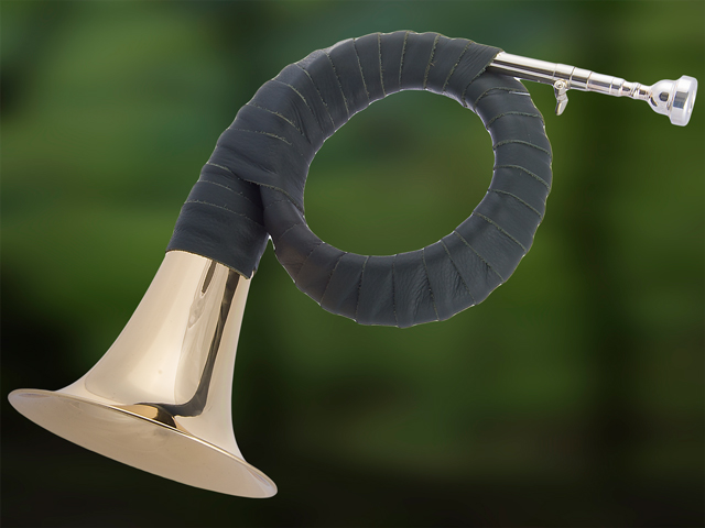 FP1L Fürst-Pless-Horn, Leder