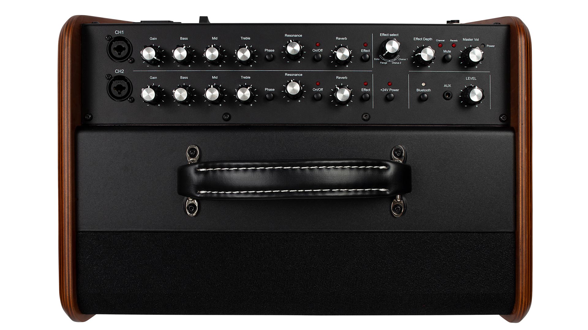 ASG-8 Wood Akustikgitarren-Amp