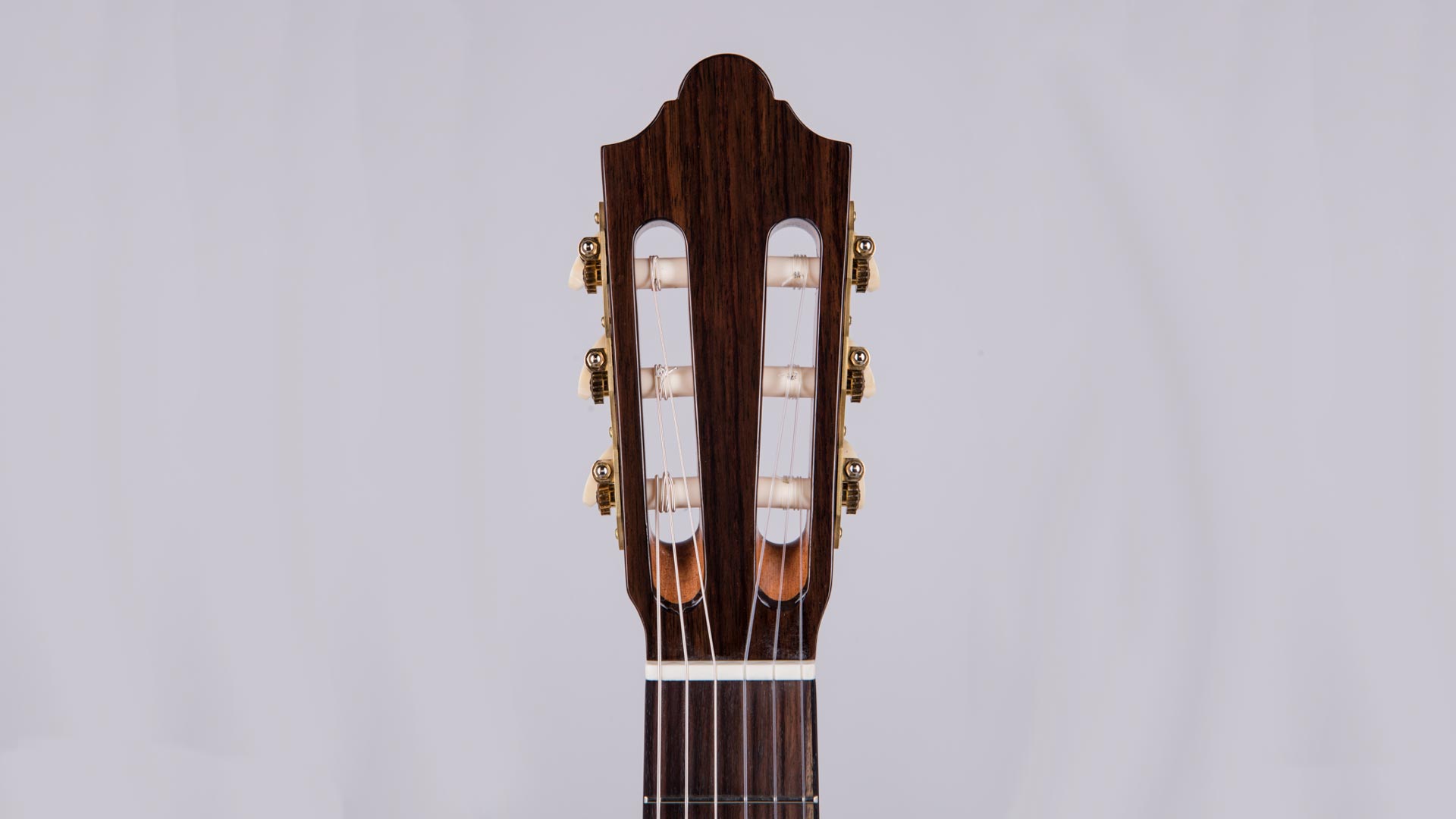 Konzert C Cut Konzertgitarre