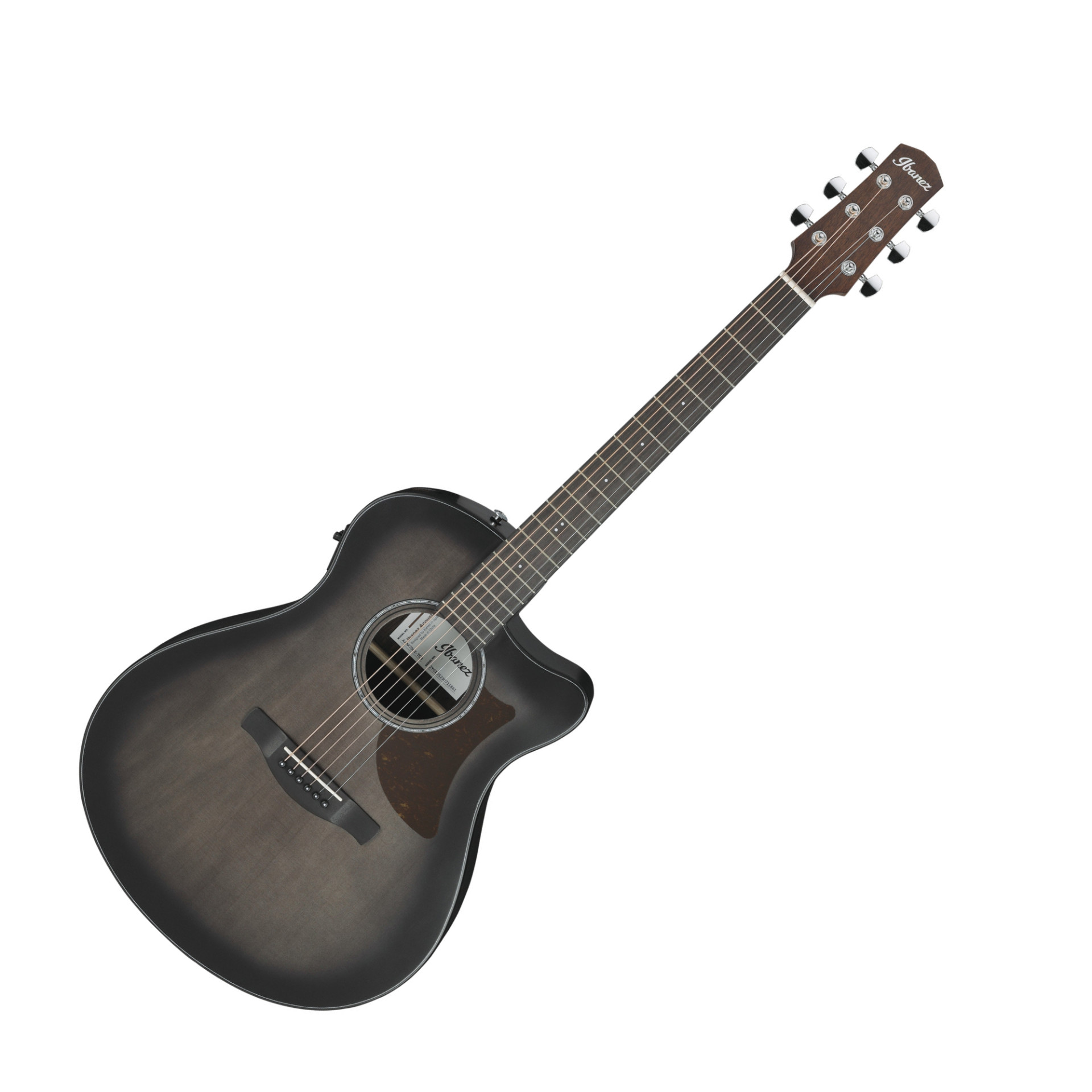 AAM70CE-TBN Auditorium