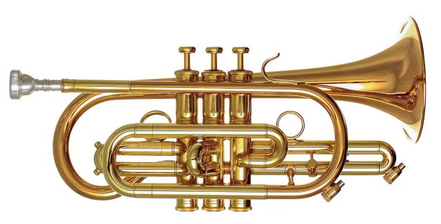 Pioneer B-Kornett lackiert