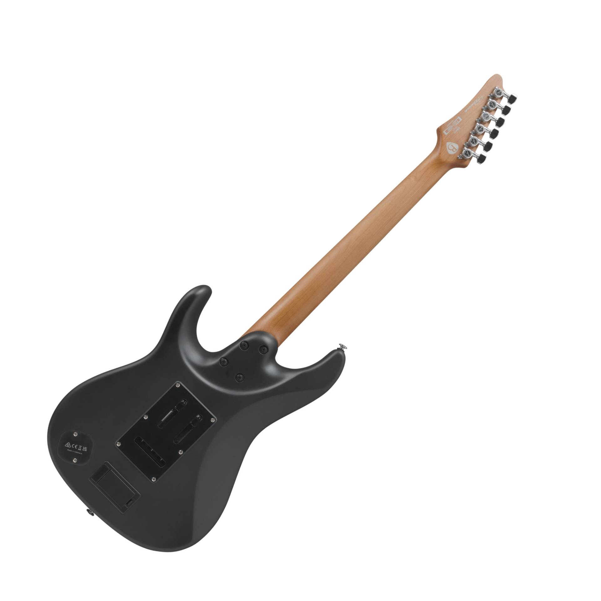 BER10 Bernth Signature Gitarre