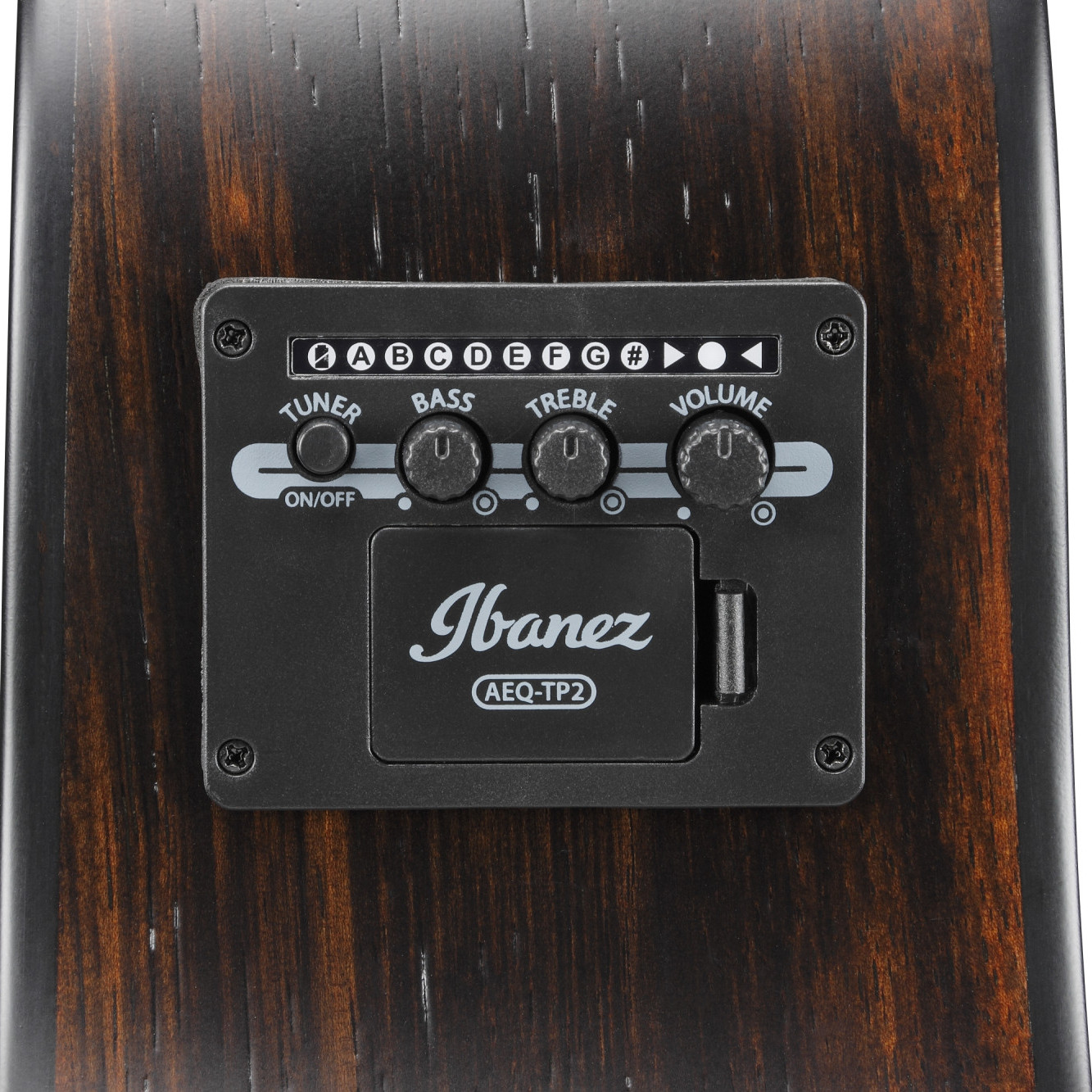 AAM70CE-TBN Auditorium