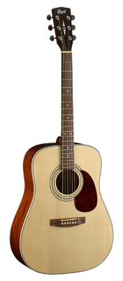 Earth 70 Dreadnought Natural