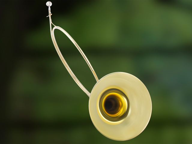 B3510 B-Parforcehorn