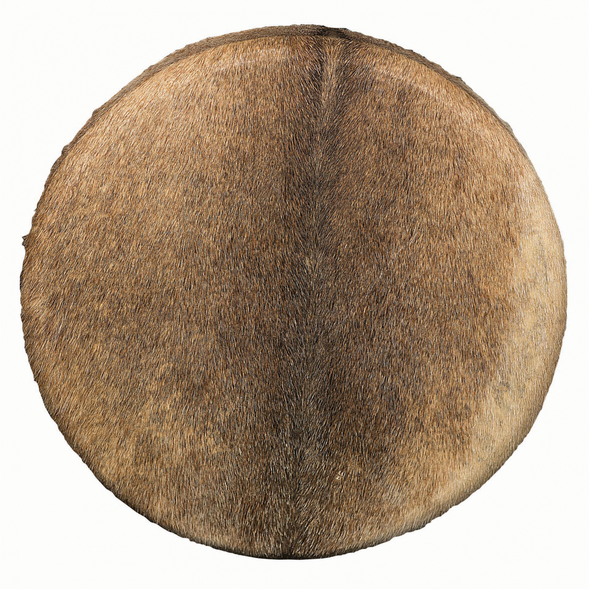 Schamanentrommel Baum 50cm