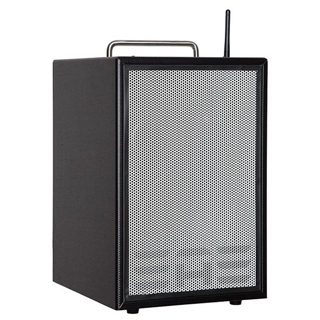 D6-8 Akustikverstärker 40W