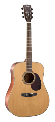 Earth 100NS Dreadnought