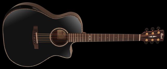 GAMY-BV Black Grand Auditorium