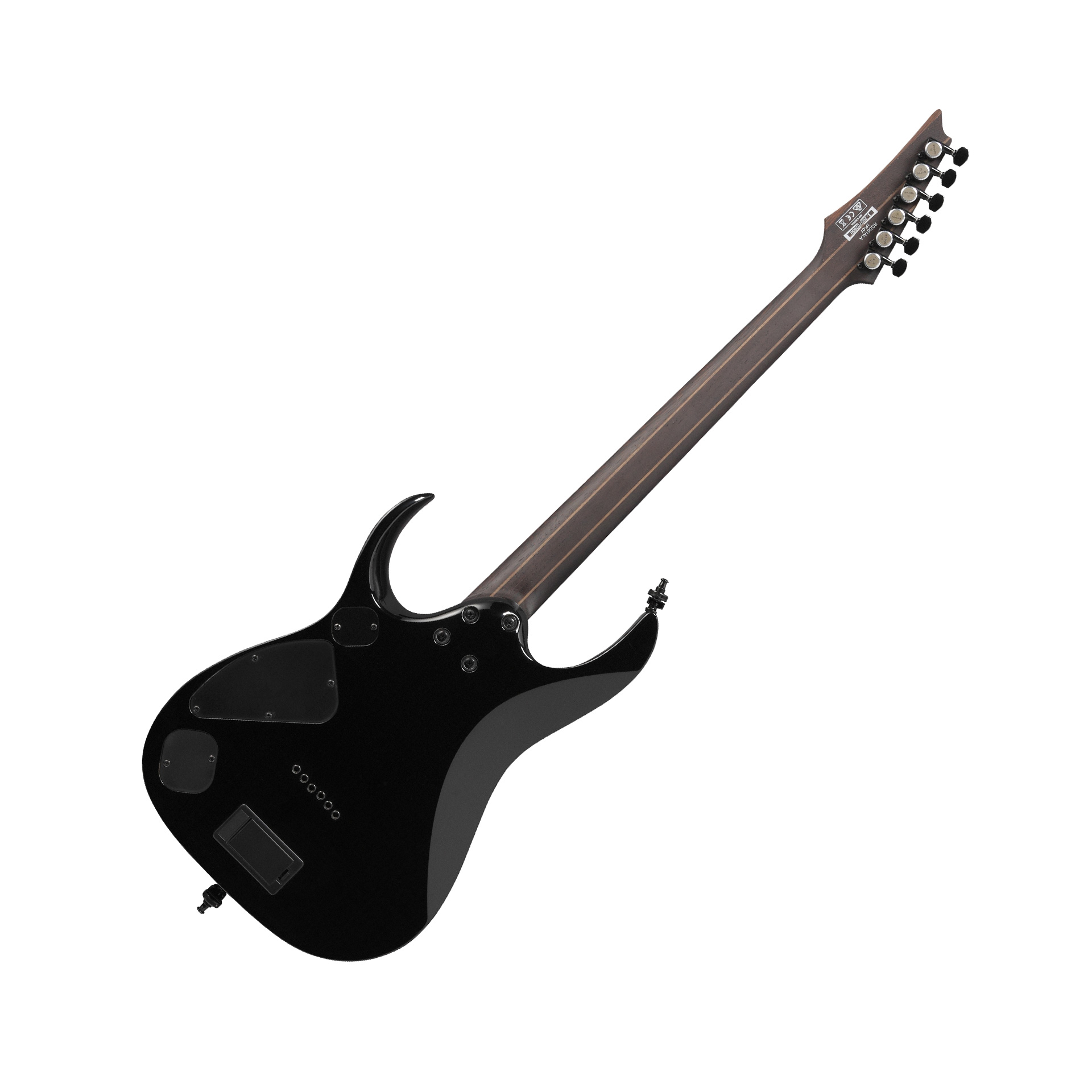 RGD61 Axion Label RGD-MTR