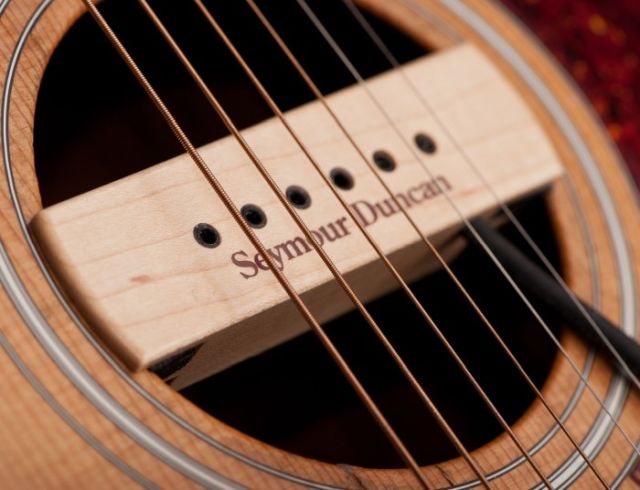 WOODY XL Tonabnehmer