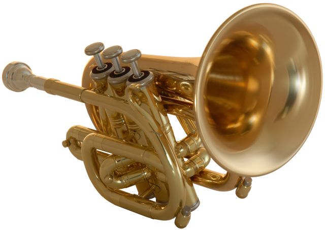 Pocket Big Bell B-Trompete MLL