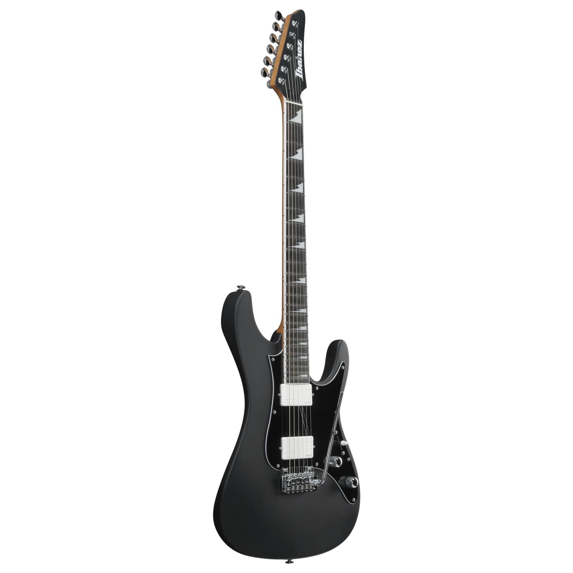 BER10 Bernth Signature Gitarre