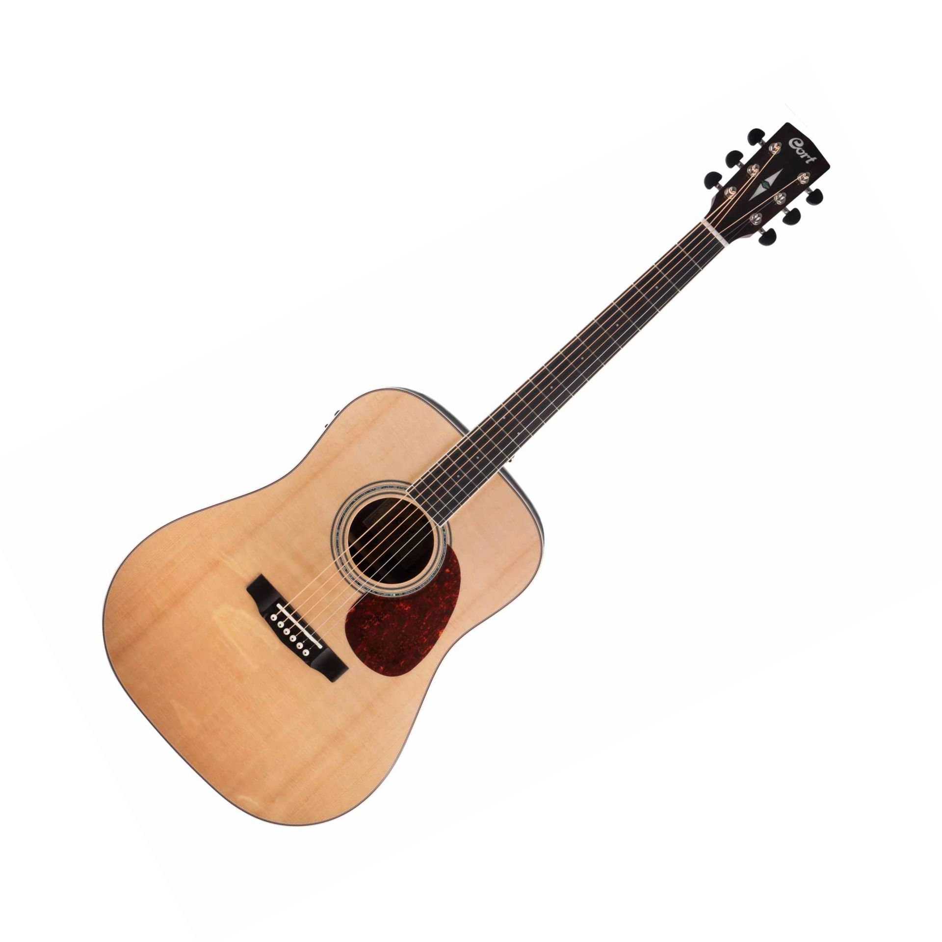 Earth 100FER Dreadnought + PU