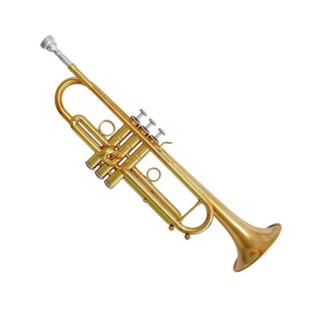Pioneer B-Trompete MLL