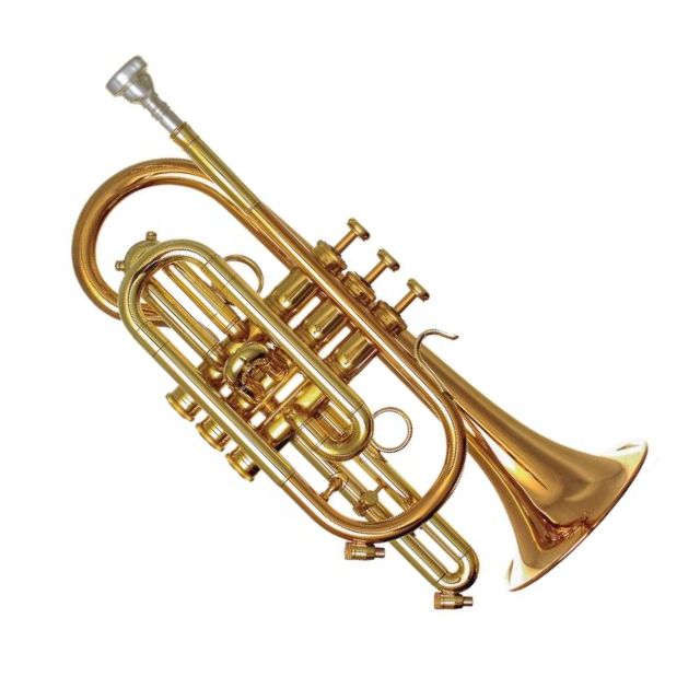 Pioneer B-Kornett lackiert