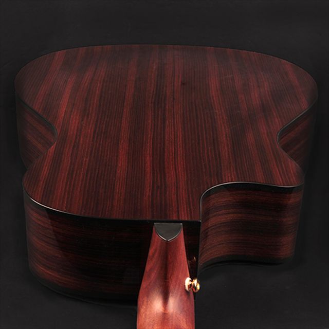 GAPF-BVN Grand Auditorium