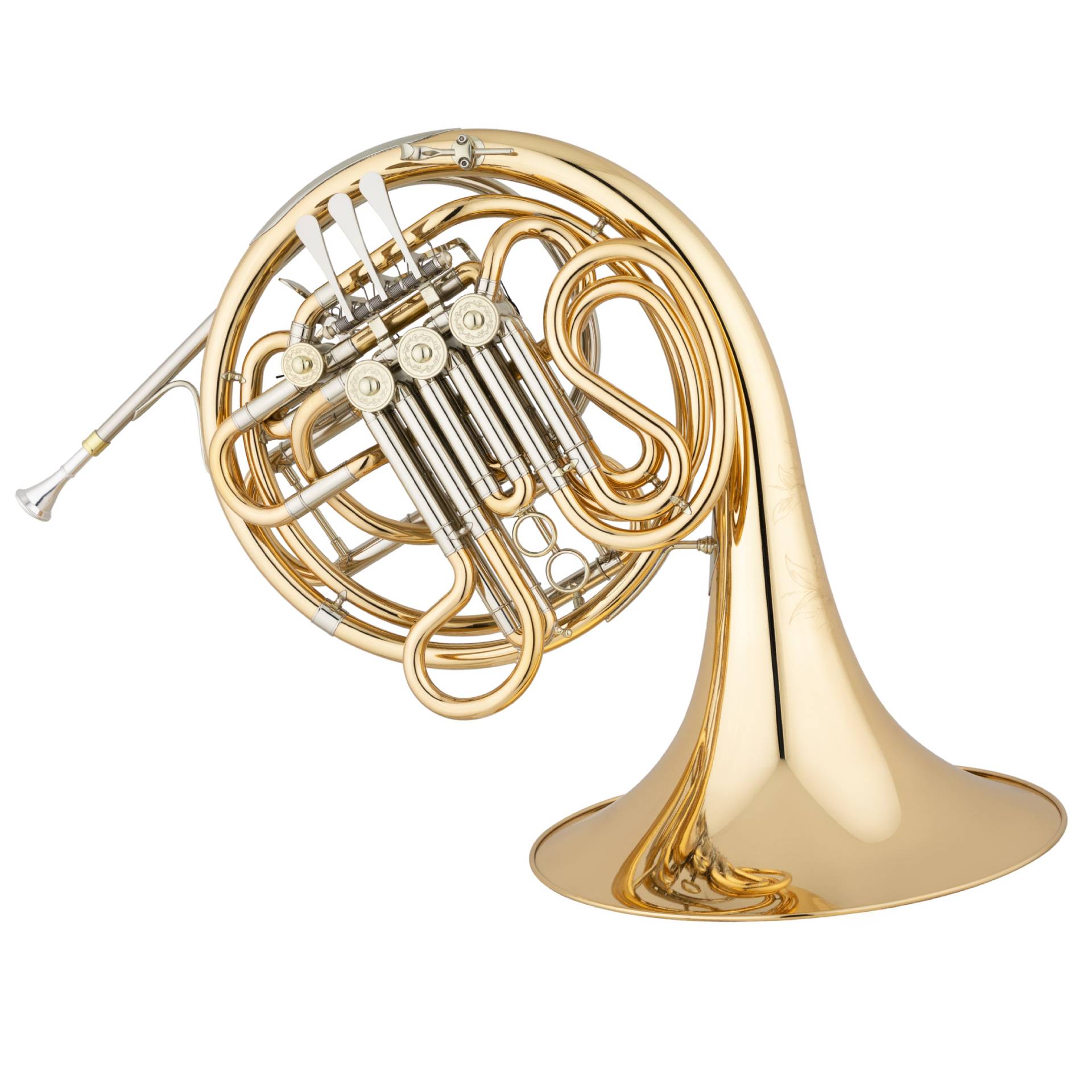 B-F-Doppelhorn Geyer EFH683G