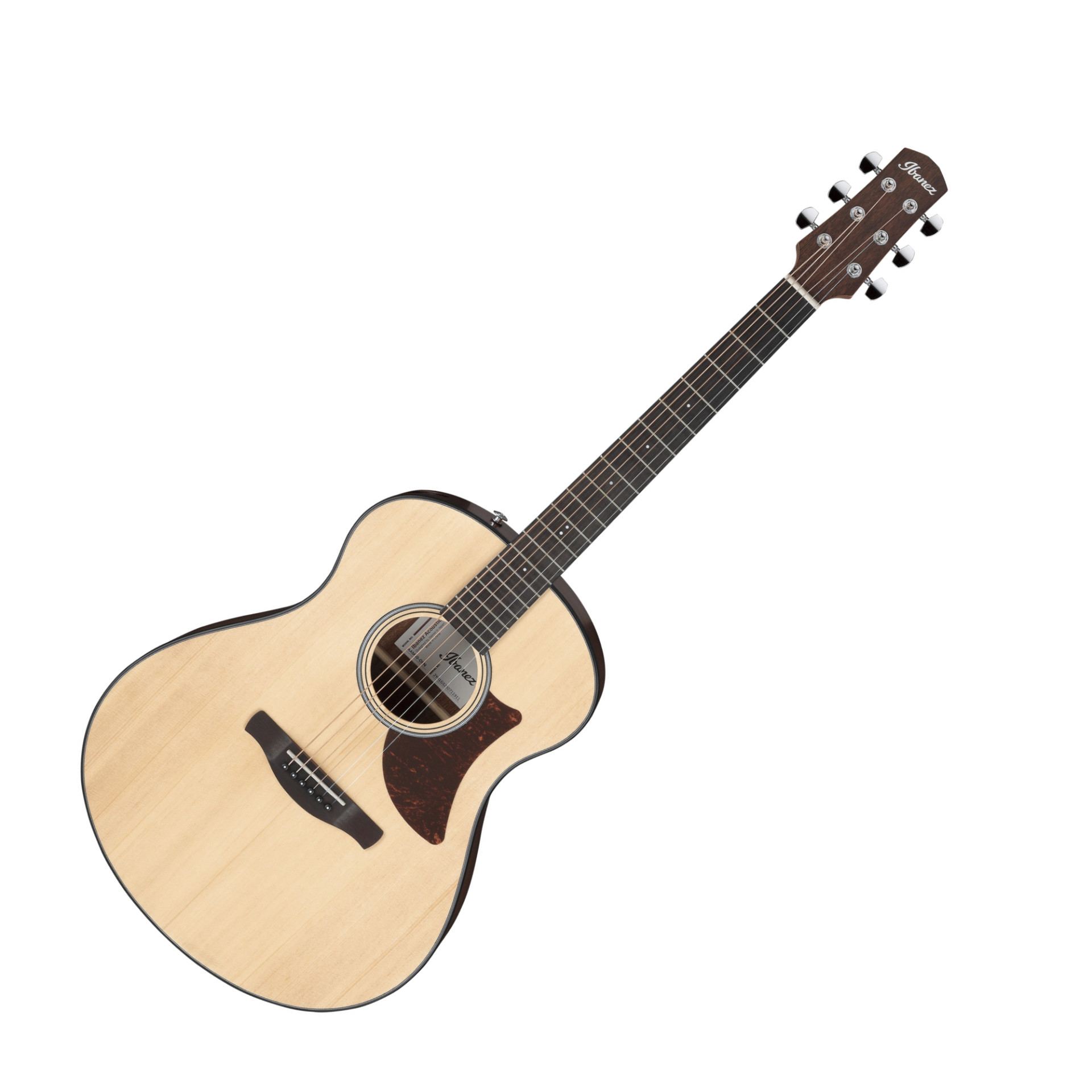 AAM50-OPN Auditorium Natural