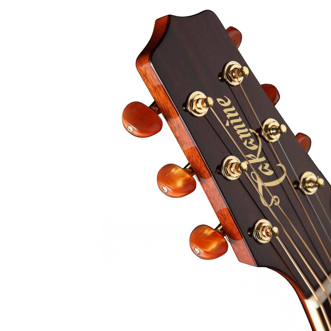 Pro 4DC Dreadnought, natural
