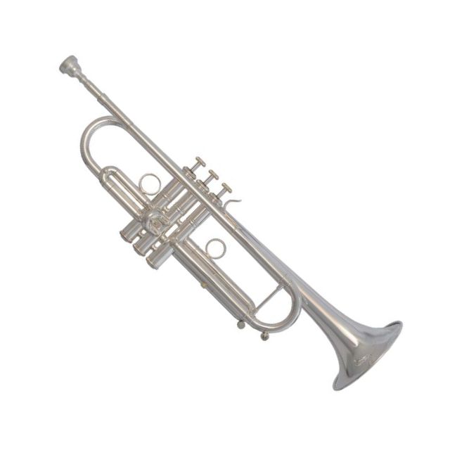 Pioneer B-Trompete MLS