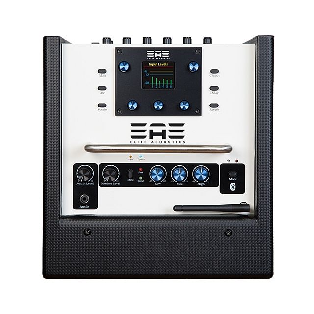 D6-8 Akustikverstärker 40W