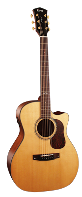 GOLD A6 Grand Auditorium