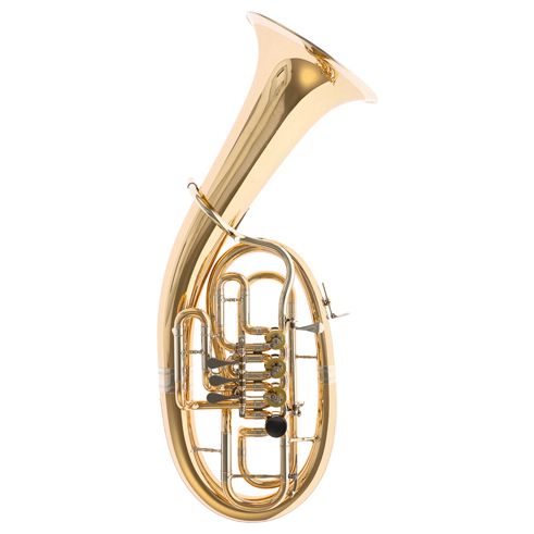 Tenorhorn MAW24G-1 A. Wurz