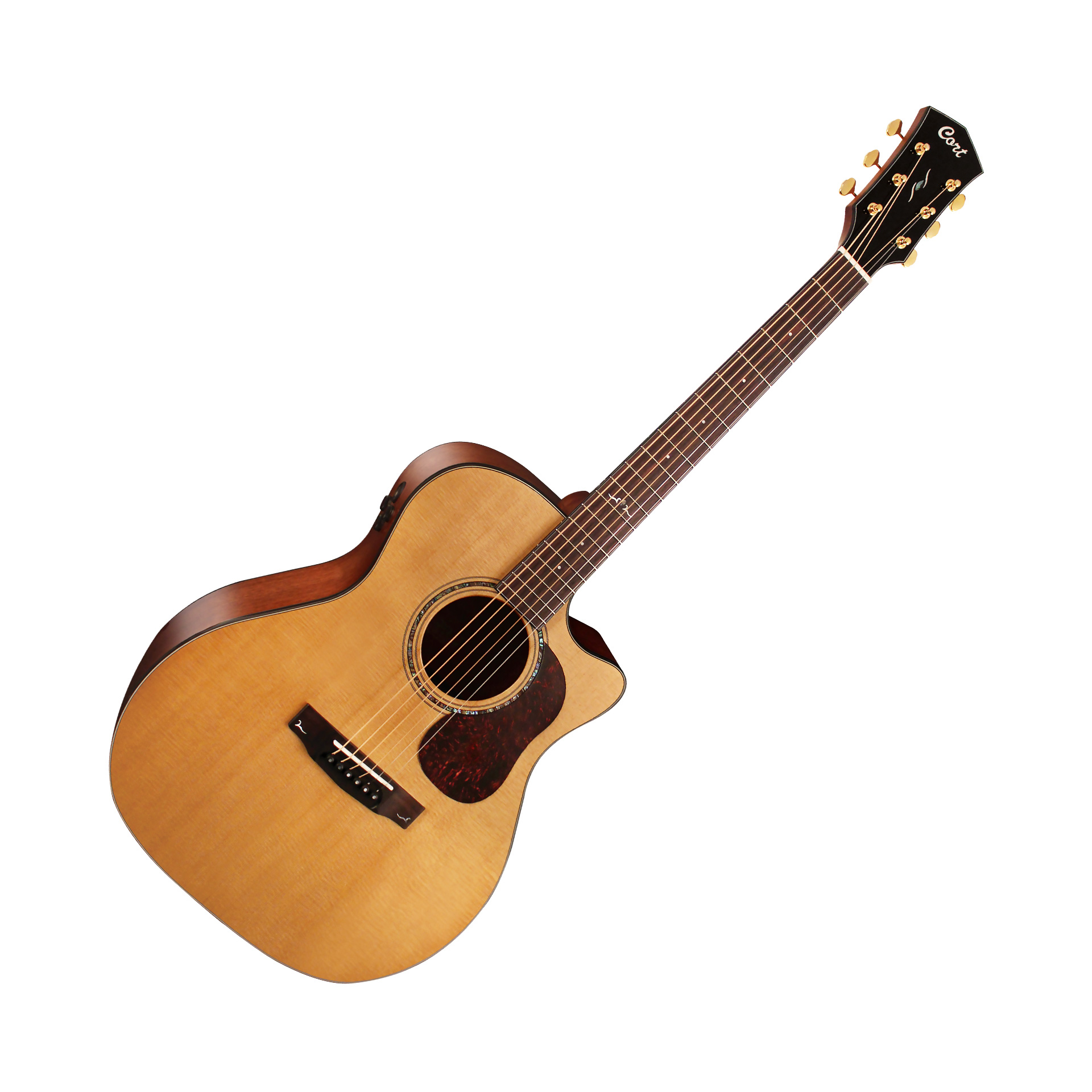 GOLD A6 Grand Auditorium